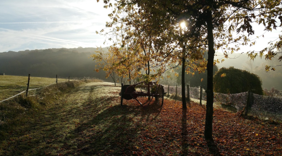 (76) Réunir une équipe de « ccpistes » autour d’un projet de design
