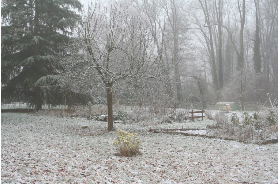 (02) Bulletin Saisonnier n°7 – Association Perm’api