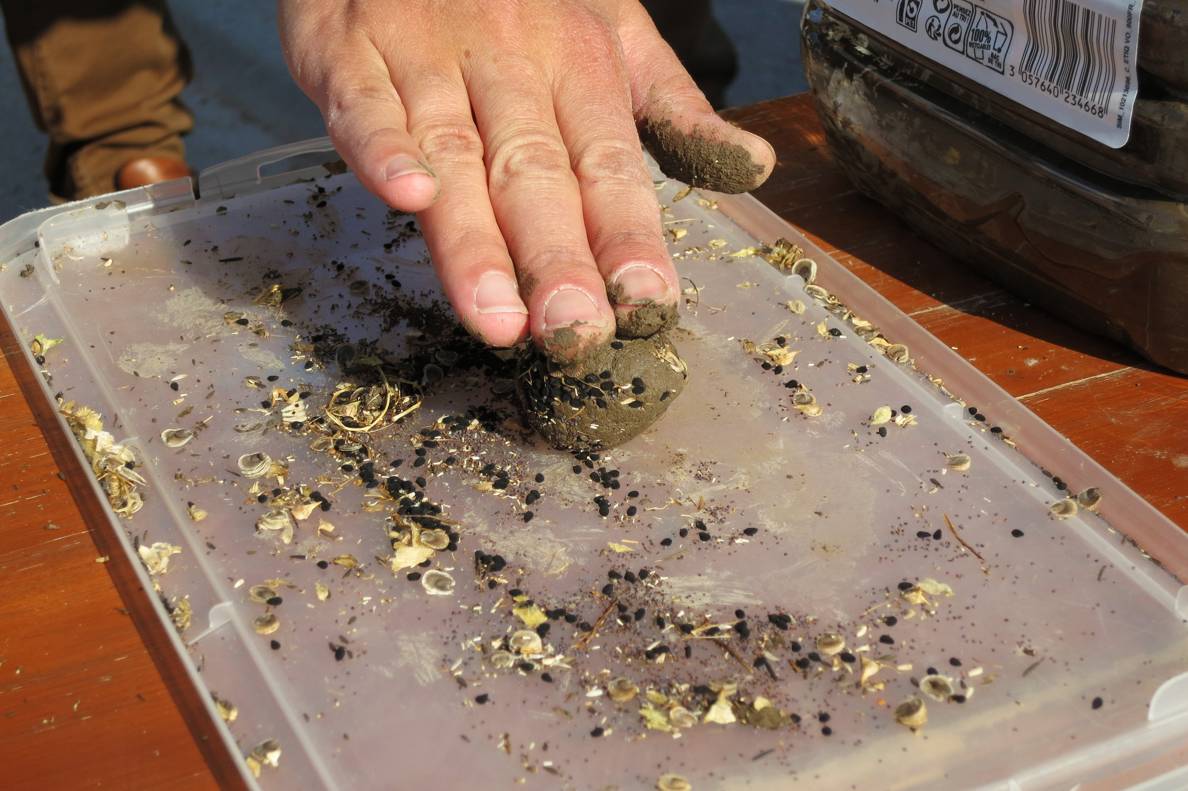 (Suisse) Bilan 2016 du réseau Brin de Paille Grand Genève : de nouvelles dynamiques se mettent en place