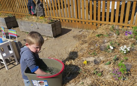 (41) : Bulletin d’info “Reverdir les cours d’école”