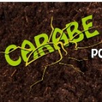 CARABE